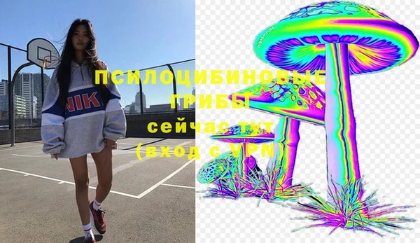MDMA Алексеевка