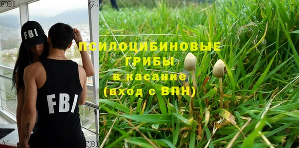 PSILOCYBIN Алзамай