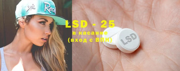 PSILOCYBIN Алзамай