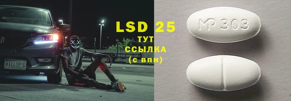 PSILOCYBIN Алзамай