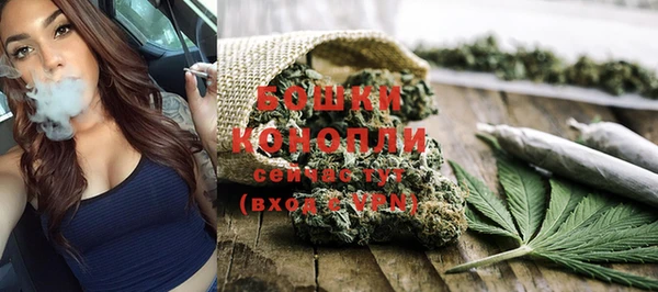 PSILOCYBIN Алзамай