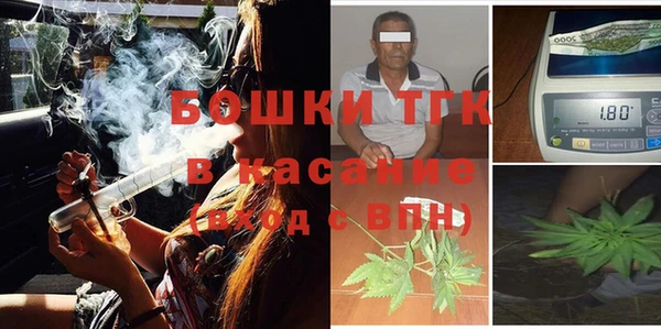 PSILOCYBIN Алзамай