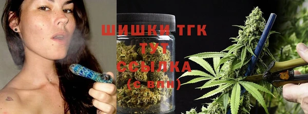 PSILOCYBIN Алзамай